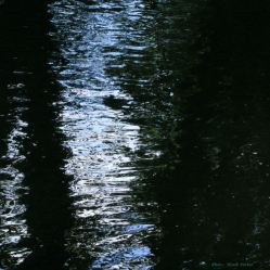 reflections 05